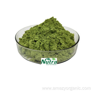 Factory Natural Organic Kale Extract Powder For Sale